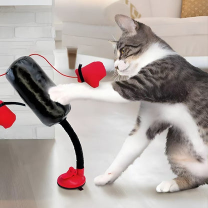 🐈🥊Mini Cat Punching Bag