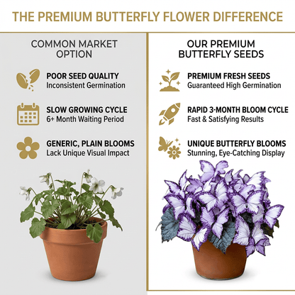 🌸 Moonlight Butterfly Flower Seeds (100 capsules)