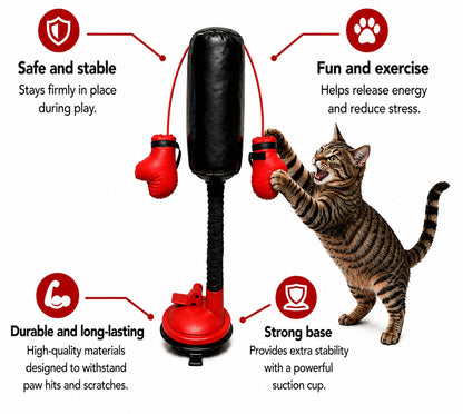 🐈🥊Mini Cat Punching Bag