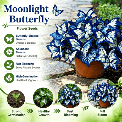 🌸 Moonlight Butterfly Flower Seeds (100 capsules)