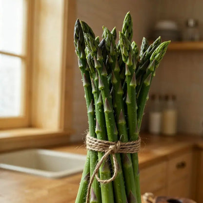 🔥Hot Save🔥-Four Seasons Asparagus Mary Washington Seeds
