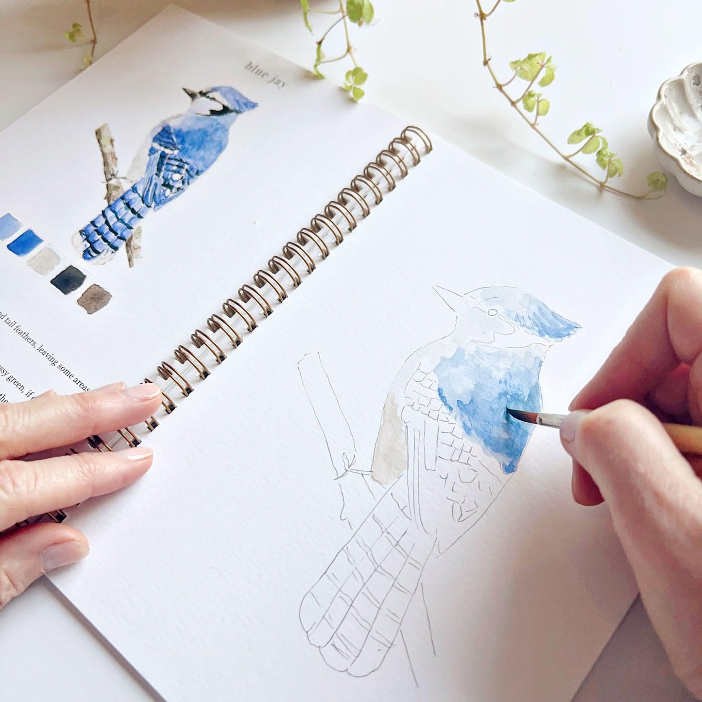 🎁Cozy Slow Watercolor Workbook Art Practice Set